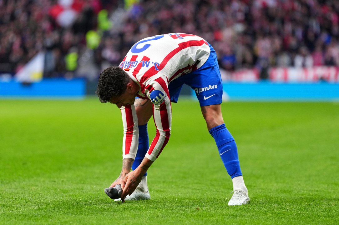 Piccione colpito dal pallone durante Atletico Madrid-Real Sociedad: Gimenez arriva in soccorso