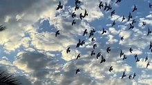 Beautiful Qur’an Recitation – Peaceful and Spiritu