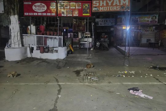गंदगी और प्रतिबंधित प्लास्टिक के मुद्दे पर 156 इकाइयों को नोटिस, आठ सील