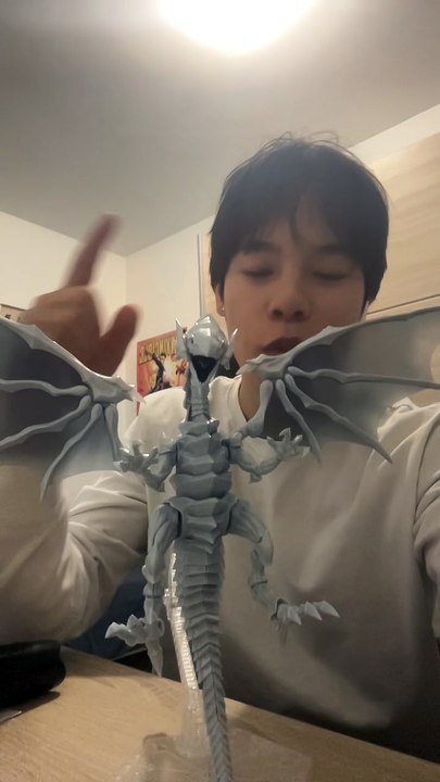 Présentation de mon gunpla dragon blanc aux yeux bleu!