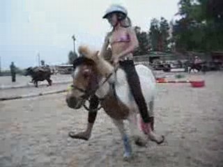 1er juin 2008 clowns en fete