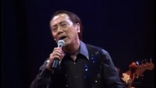 Mike Remedios LIVE IN TOKYO The Way Of The Dragon