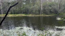 Enoggera Reservoir 02