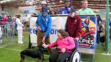 Kelpies for Kids program provides sick children with an opportunity to become master trainers