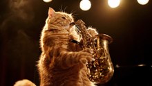Funny Cat Playing Saxophone – Choosin' Texas Sax Cover 🎷🐱