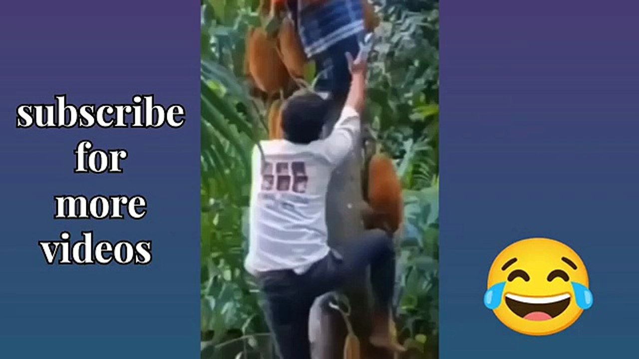 Funny Videos Part 27