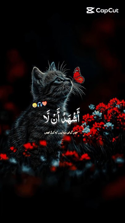 Quran