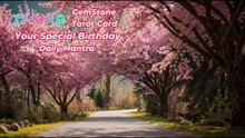 17 March Happy Birthday!