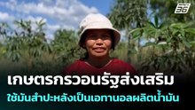 เกษตรกรวอนรัฐส่งเสริมใช้มันสำปะหลังเป็นเอทานอลผลิตน้ำมัน| เที่ยงทันข่าว | 10 มี.ค. 69