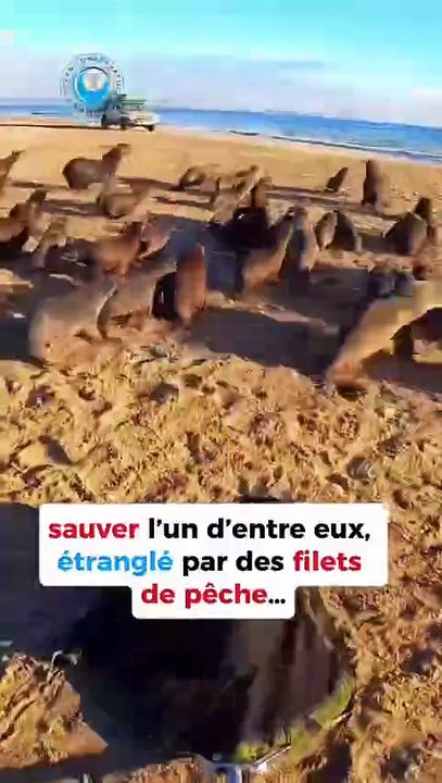 Le héros du jour 💚💡