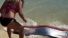 peixe raro