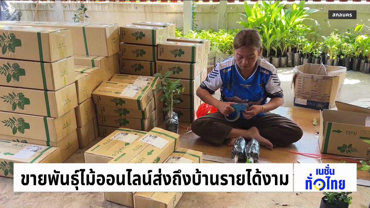 ลูกเต่ามะเฟืองรังแรกฟักตัวสำเร็จ  ที่เกาะพระทอง  | เนชั่นทั่วไทย | 09 มี.ค. 69 | PART 2
