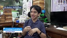 Philippine's Top Cockroach Expert Casts Light on 'Misunderstood' Creatures