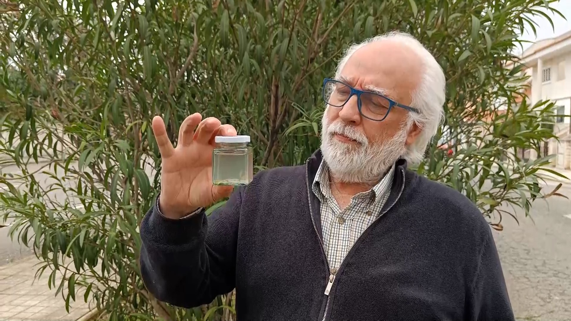 Las abundantes lluvias registradas en los primeros meses de 2026 han provocado la aparici�n de las conocidas como 'gambas duende', unos peque�os e inusuales invertebrados acu�ticos que emergen de forma temporal en charcos y lagunas estacionales.
Seg�n explic� el naturalista y profesor de Educaci�n Primaria Francisco Zamora Soria, estas especies son "peque�os invertebrados del grupo de los crust�ceos, concretamente branqui�podos", muy poco conocidos por el p�blico pese a su gran inter�s cient�fico y ecol�gico.
Las llamadas gambas duende pertenecen al grupo de los Anostraca, un tipo de crust�ceos primitivos adaptados a vivir en humedales temporales. Su tama�o suele oscilar entre los dos y los tres cent�metros y medio, y presentan un cuerpo alargado con numerosas patas que utilizan para nadar en el agua.
Estos animales aparecen principalmente en lugares donde se acumula agua tras episodios de lluvia, como cunetas, peque�os charcos, pozas o lagunas estacionales. Su ciclo de vida est� estrechamente ligado a estas condiciones, ya que cuando el agua se evapora desaparecen, dejando huevos resistentes en el suelo que pueden sobrevivir largos periodos de sequ�a.
La presencia de estas especies suele considerarse un indicador de la buena salud de los ecosistemas temporales y de la biodiversidad asociada a los humedales ef�meros.