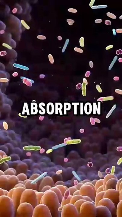 stunning 3D medical journeys inside the human body