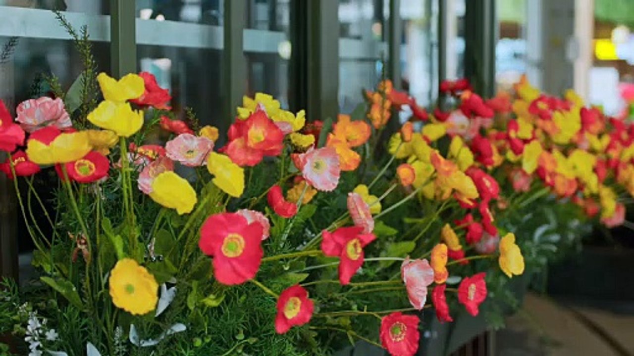 My Romance Scammer Episode 3 #SERIESHUB