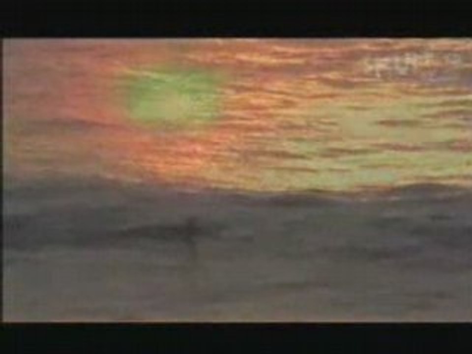 Skuff's Weekly Skid #5