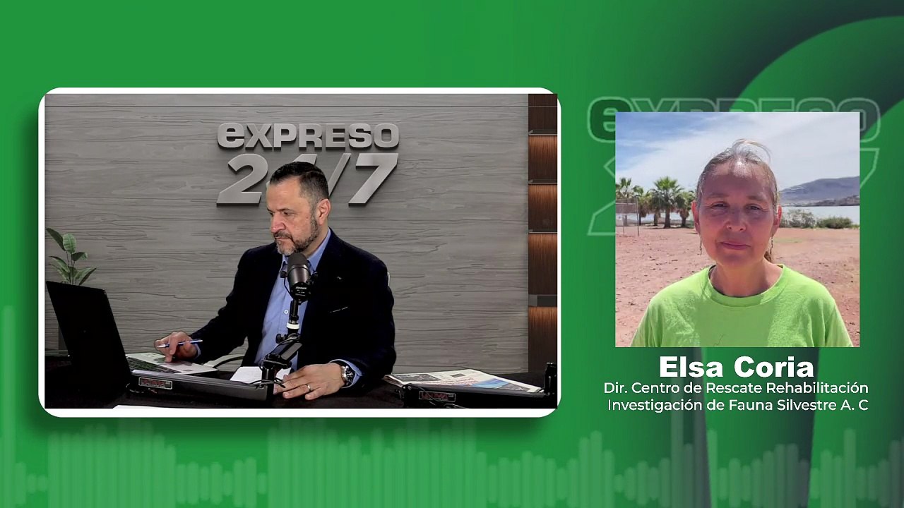 Noticiero Expreso 24/7 (2704)
