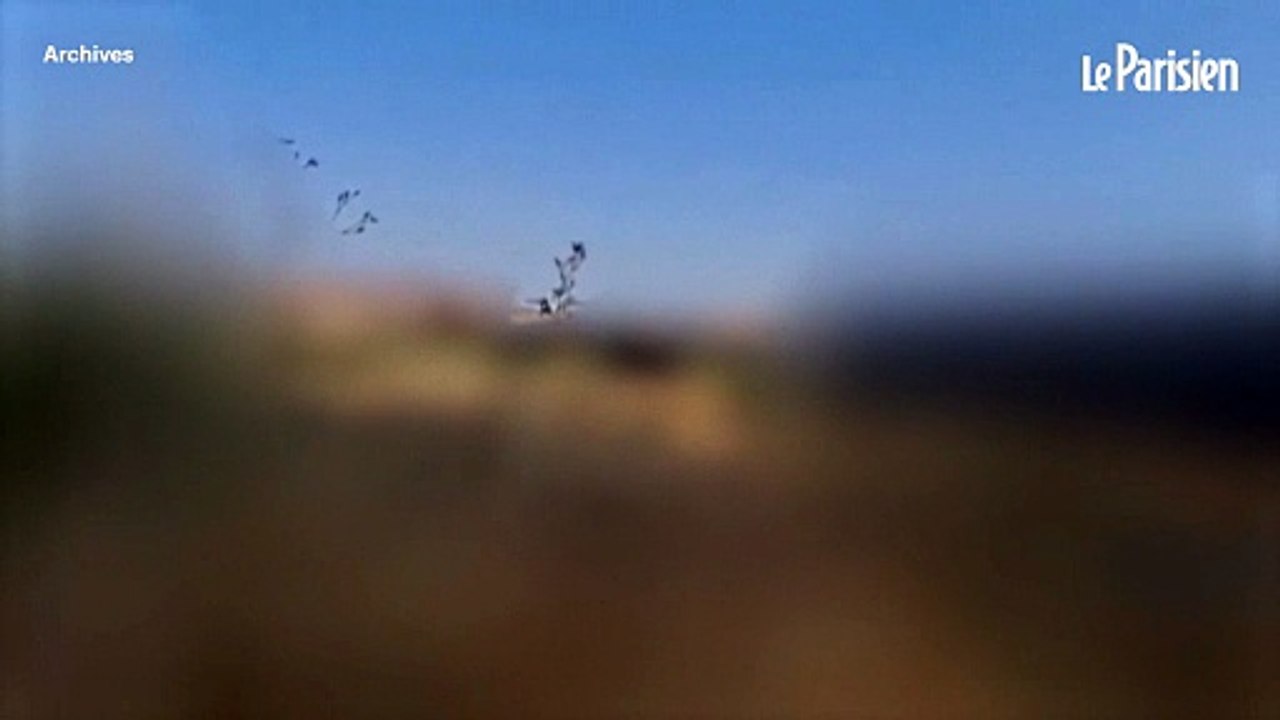 Guerre en Iran : 7000 drones intercepteurs ukrainiens déjà réclamés pour stopper le Shahed