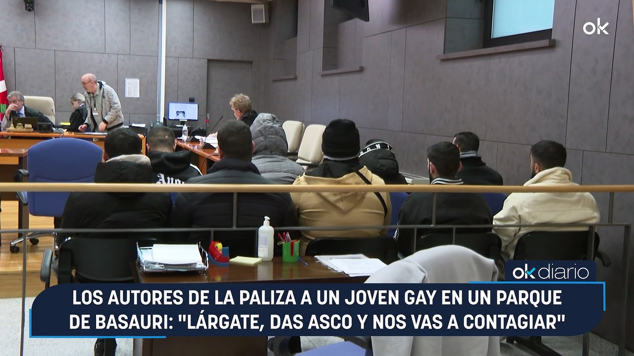 Los autores de la paliza a un joven gay en un parque de Basauri: "Lárgate, das asco y nos vas a contagiar"