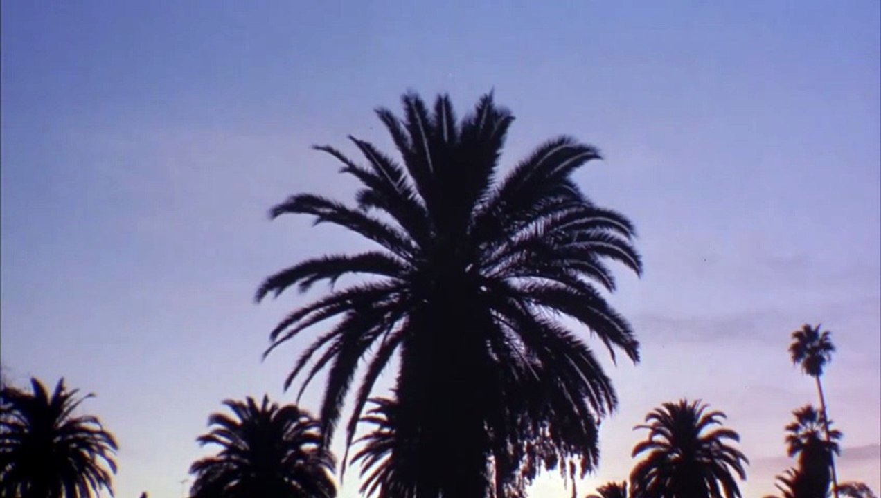 Blue Heat – Einsame Zeit für Helden