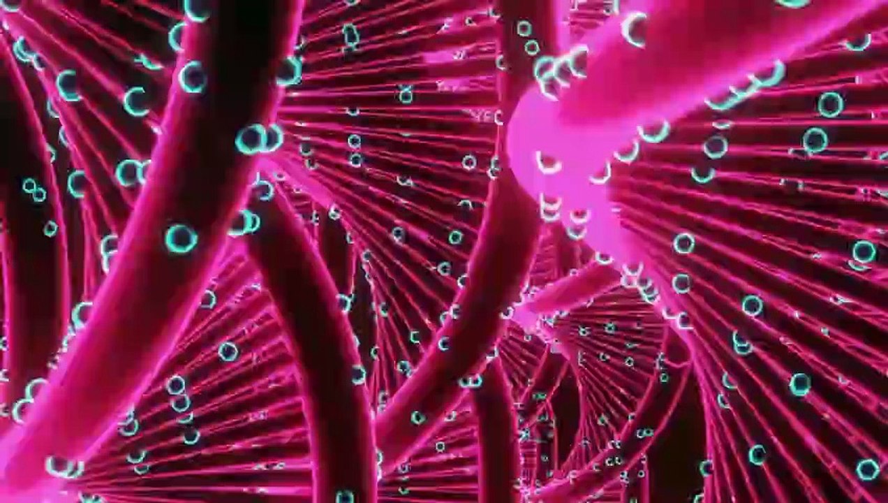 Genetic Health