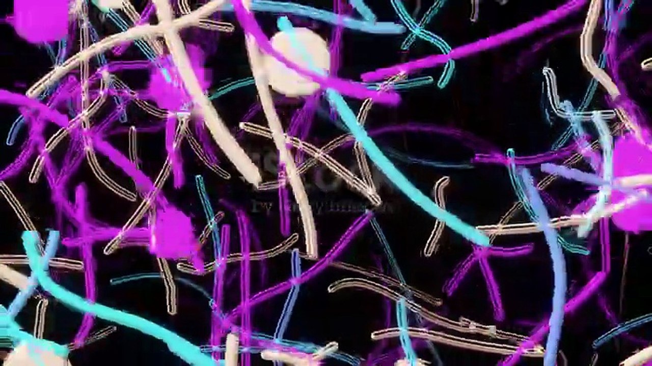 Century Mirai is Century Real Estate's new launch housing development in East Bangalore