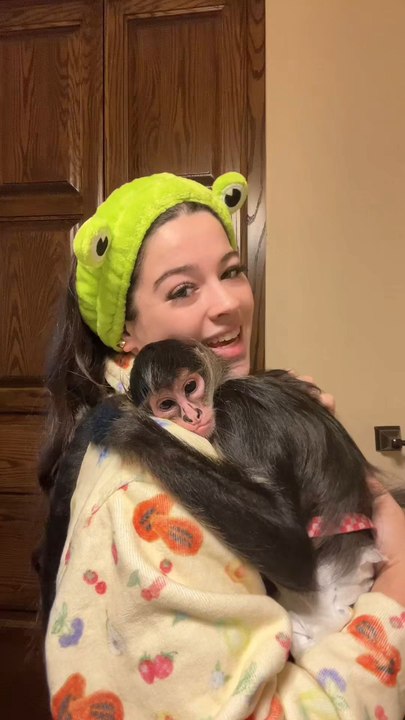 Pros and Cons of raising monkeys