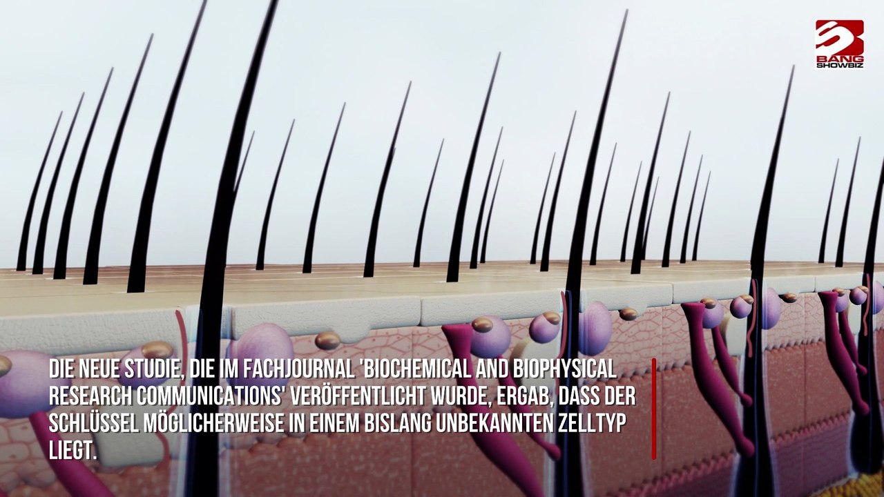 Wissenschaftler züchten im Labor Haare