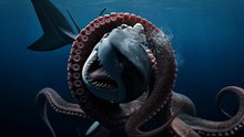 Giant Octopus vs Shark – Deep Sea Clash