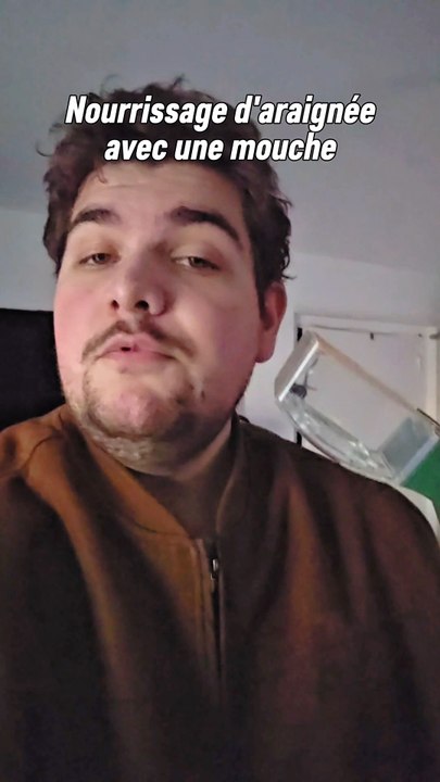 Les mouches qui sortent à cette période de l'année c'est vachement pratique quand on a des araignées ! 😅