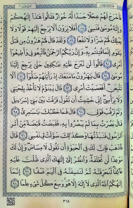 صفحة (318)