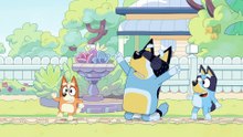 Bluey Episode 6 Complet | The Weekend | Bluey Season 1