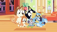 Bluey Episode 8 Complet | Fruit Bat | Bluey Season 1