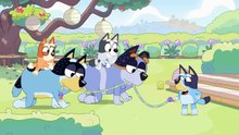 Bluey Episode 9 Complet | Horsey Ride | Bluey Season 1