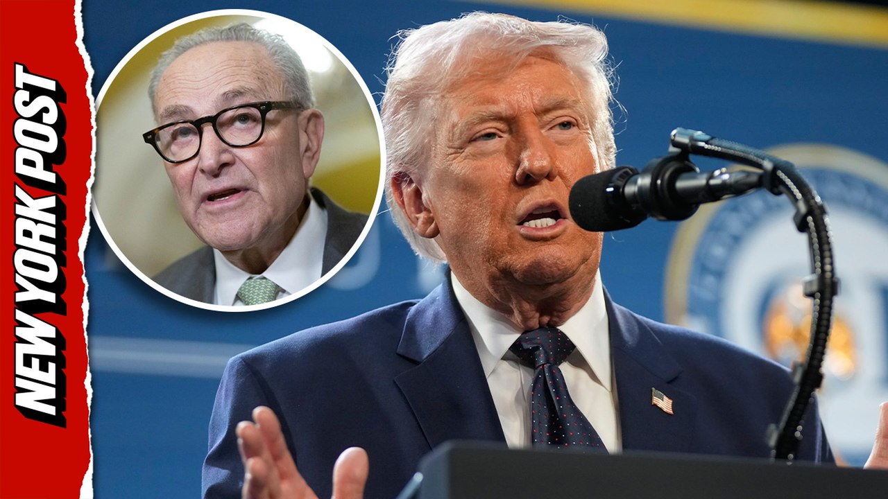 Trump slams Schumer over opposition to voter ID laws: 'Registered as a Palestinian'