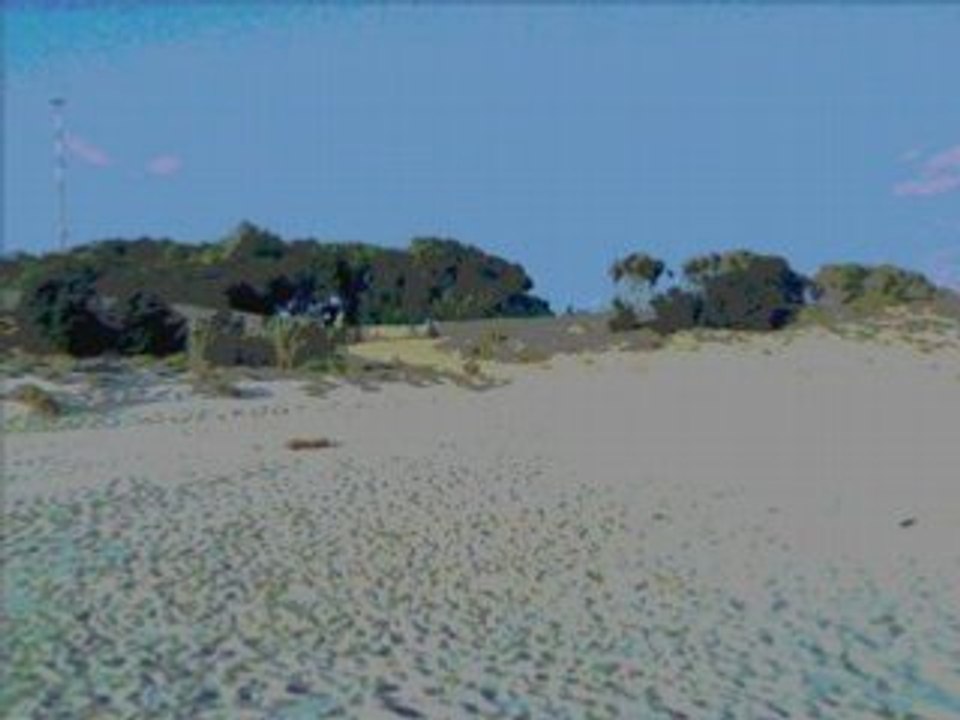 GELA-summertime 2007