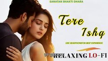 Tere Ishq Ne || Relaxing Lo-FI || Bollywood  New Romantic Song 2026 || desi beats #trend #newbollywoodsong #viralbollywoodsong #ForYou #Playlist