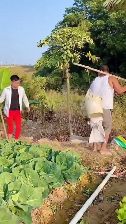 Beatyoin funny video