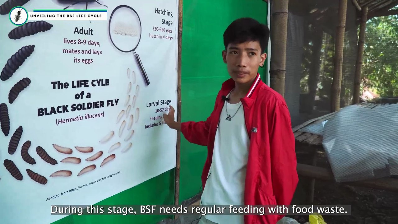 EDC x Peace Crops Green Economy Youth Empowerment via Black Soldier Fly Farming