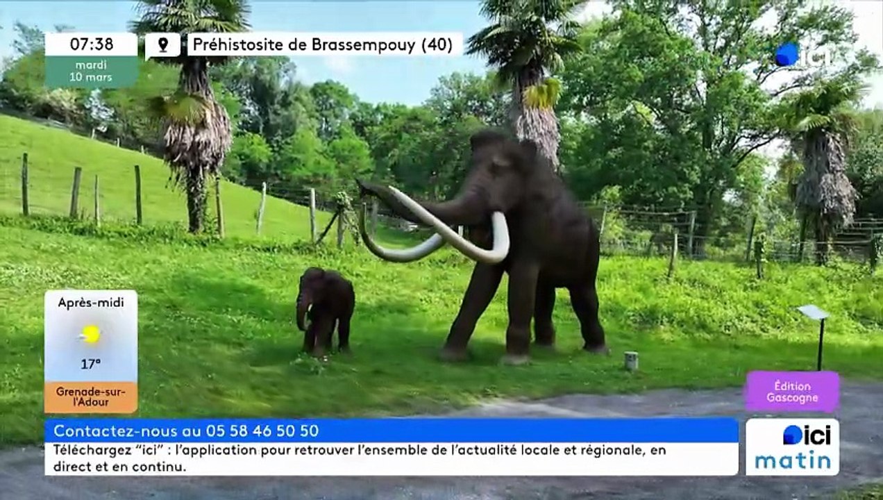10/03/2026 - ici matin par ici Gascogne en vidéo