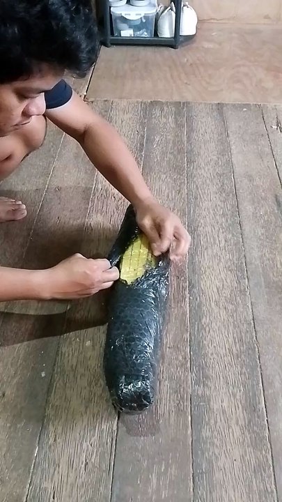 Jeffrey Unboxing an Egg Incubator Turnery Tray