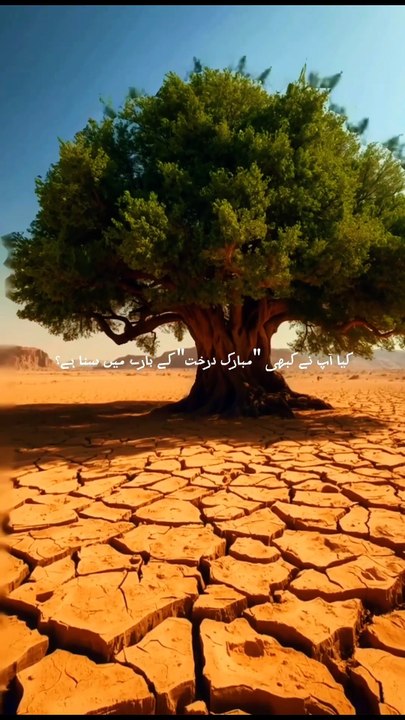 Registan Ke Beech 1400 Saal Purana Mojiza😱