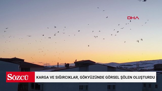 Karga ve sığırcıklar, gökyüzünde görsel şölen oluşturdu