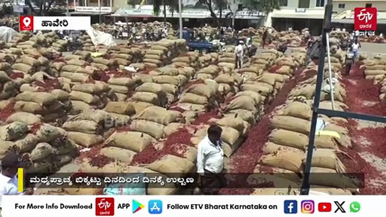 ಬ್ಯಾಡಗಿ: ಕೊಲ್ಲಿ ರಾಷ್ಟ್ರಗಳಿಗೆ ತೆರಳಬೇಕಿದ್ದ ಕಂಟೇನರ್​ಗಳು ನಡುದಾರಿಯಲ್ಲೇ ಸ್ಥಗಿತ ; ಮೆಣಸಿನಕಾಯಿ ವರ್ತಕರಿಗೆ ಎದುರಾಯ್ತು ಸಂಕಷ್ಟ