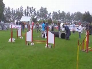 Vodka-jumping catastastrophique