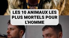 Animaux mortels