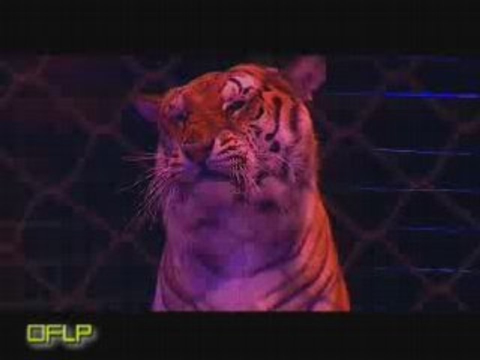 NUMERO DE FAUVES CIRQUE GRUSS 2008/2009