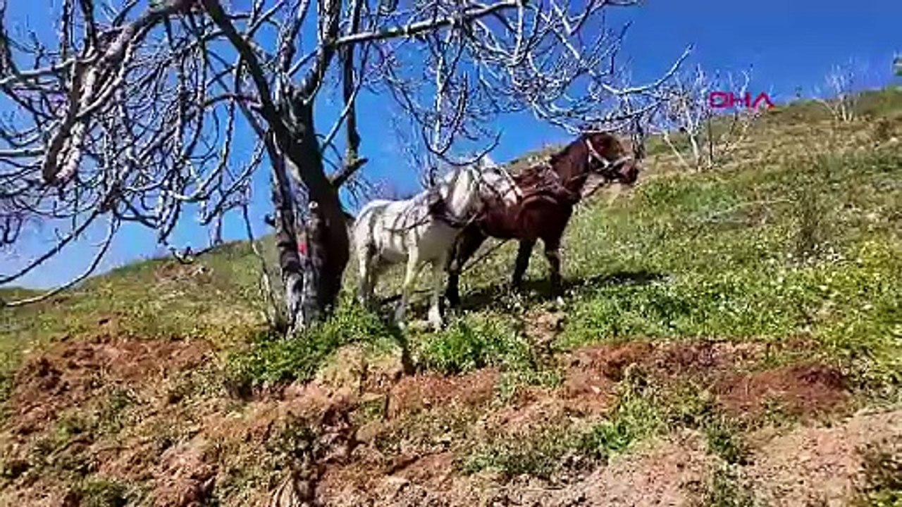 Günlük 8 bin TL yevmiye var, işçi yok! Kimse bu işin yüzüne bakmıyor