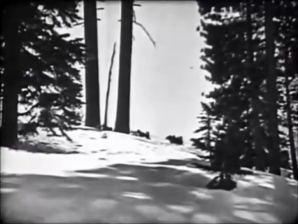 Where the North Begins (1923) – Adventure | Action | Full Movie | Silent Film